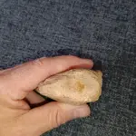 thumbnail (5).webp