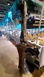 20220916_162732.webp