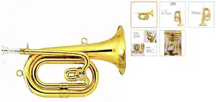 Cornet.jpg