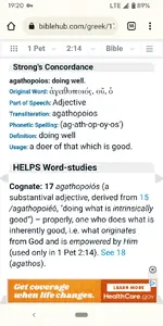 17B.webp