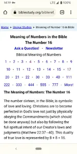 16.webp