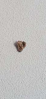 20220922_134206.webp