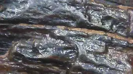 20221006_101229398_054841.webp