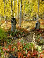 20221005_135133.webp