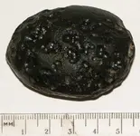 Tektite2.jpg