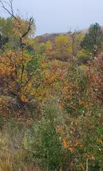 20221007_094815.webp