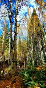 20221007_112609.webp