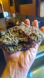 received_660444455510448.webp