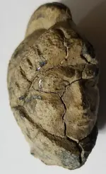 Knight head 3.webp