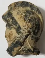 Knight head 4.webp