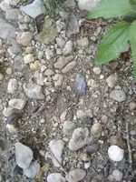 IMG_20191005_121021.webp