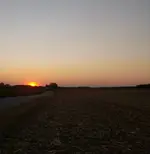 The Sun.webp