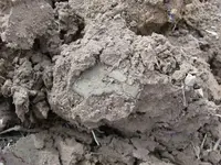 Suspender Clip in Dirt.webp Suspender Clip in Dirt.webp