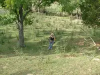 Digger Girl.webp