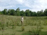 Rodeo Recon.webp
