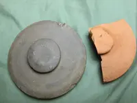lids.webp