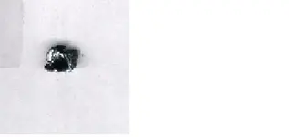 BLACKDIAMON.webp