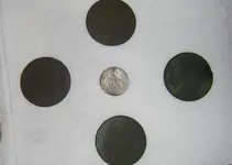 DSCN5074.webp