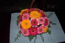 Picture%20001.webp