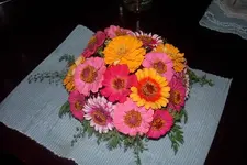 Picture%20002%20(2).webp