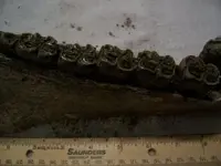 old jaw 3.webp