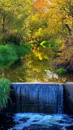 20221014_170905.webp
