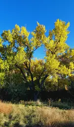 20221014_171202.webp