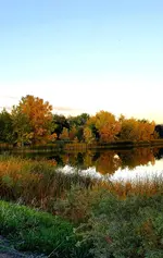 20221014_181101.webp