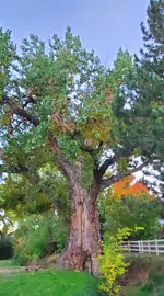 20221014_181440.webp