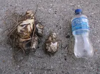 DSCF3658.webp