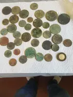 greenies.webp
