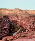 20221017_070642.webp