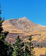 20221018_121039.webp