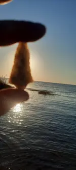20221015_174126.webp