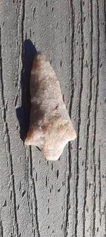 20221019_092449.webp