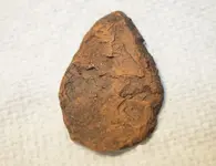 10-19-22 Ipswich River Arrowhead.webp