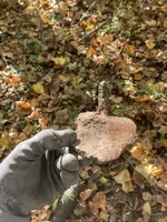 iron giving me the finger.webp