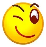 Wink.webp