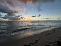 0646E53B-E5D7-46A4-8F81-C5D7556A3ED8.webp