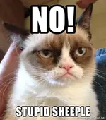B010A98A-D774-433B-8778-23FF87EB17CC.webp