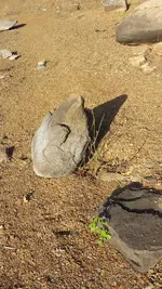 20161029_165159.jpg