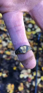 Ring found.webp