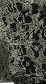 edit 1.webp
