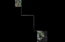 LDmines2.webp