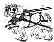 horsegear_diagram_hames&harness&trace-chains_TN_postedbyBosnMate.jpg