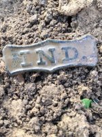 Indiana State Badge One in field.JPG