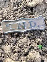 Indiana State Badge One in field.webp