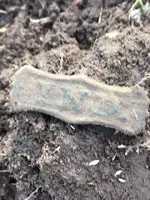 Indiana State Badge two in field.webp