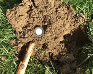 GW Carver Half - In the Dirt.webp