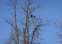 DSC00034.webp